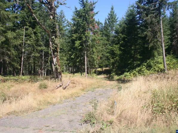 3647 Briar Knob Loop NE, Scotts Mills, OR 97375