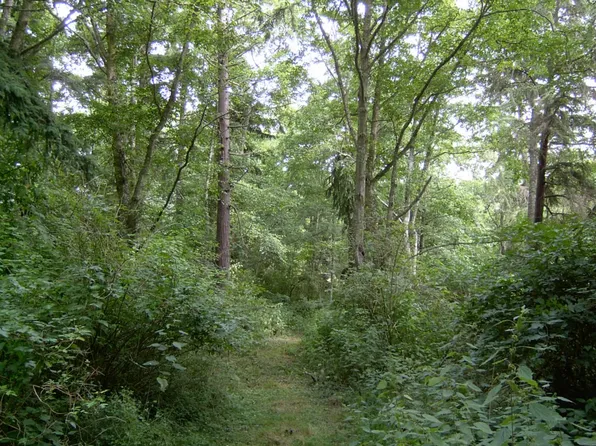 Wild Coyote Run, Freeland, WA 98249