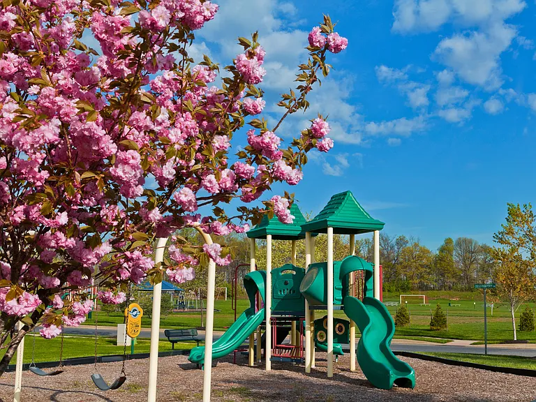 Meridian Crossing Community — Photo 18