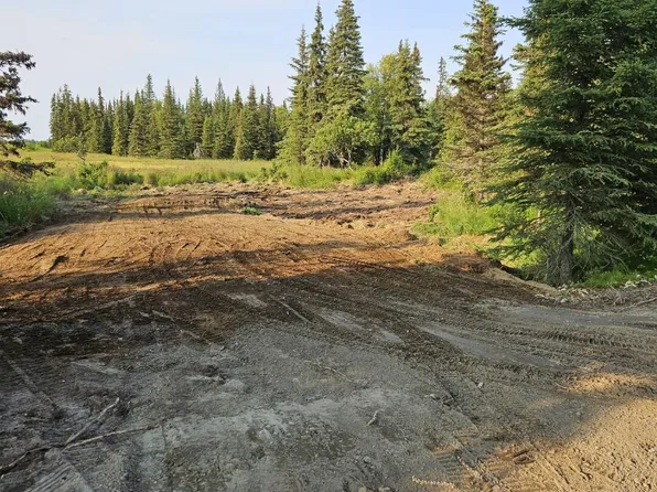 68845 Sterling Hwy, Clam Gulch, AK 99568