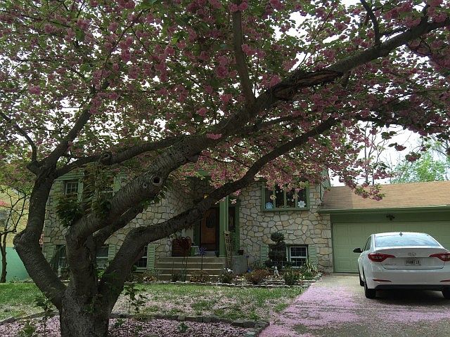 1st image of 1015 W Allens Ln