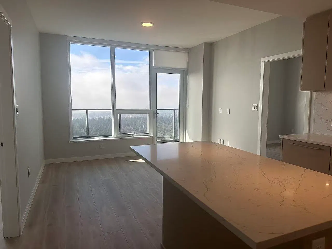 2 bed, 870 sqft, $3,700 — Photo 4