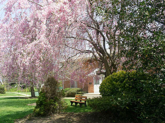 1 Garden Pl — Photo 15