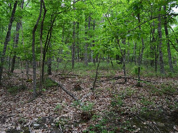 5th image of 0 Hanging Rock Forest Rd