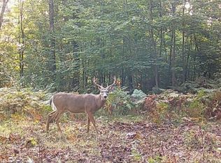 N Bean Hill Rd, Barton city, MI 48705