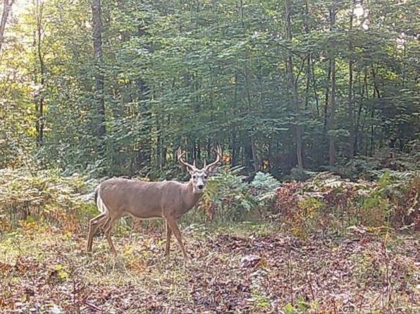 N Bean Hill Rd, Barton City, MI 48705