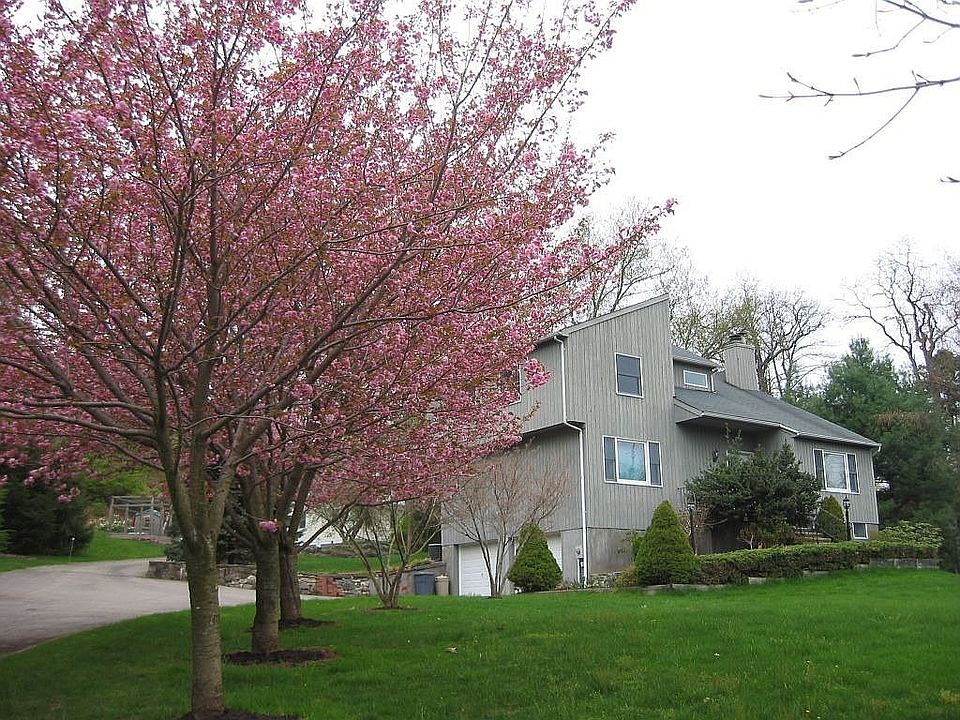 japanese cherries in bloom