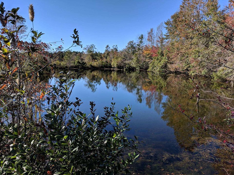 1 acre pond fed by 2 spring 