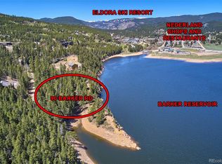 90 Barker Rd, Nederland, CO 80466