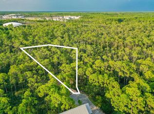 46 Sweet Gum Loop, Inlet Beach, FL 32461