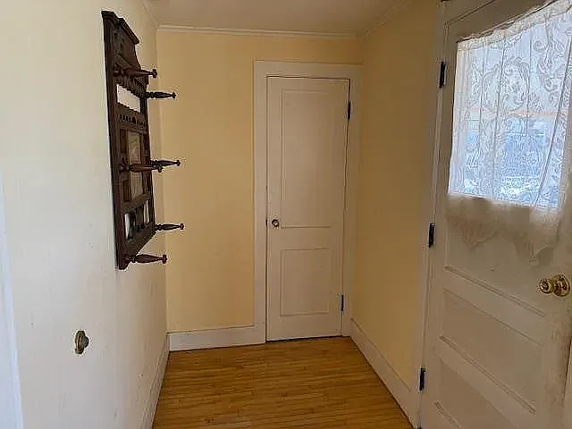 46 Wilkins St — Photo 12