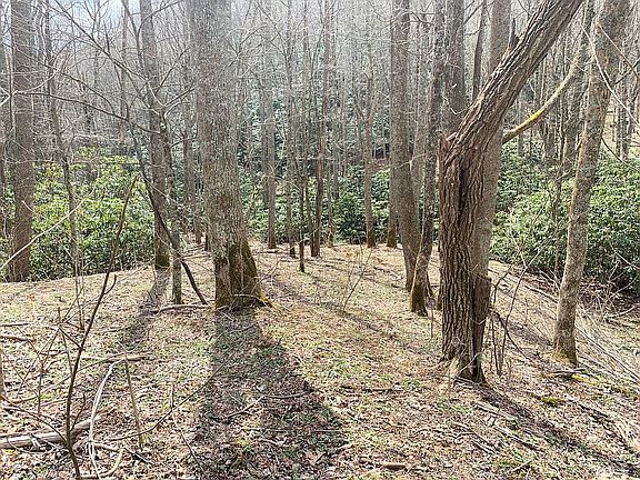 View from Pine Mt Rd