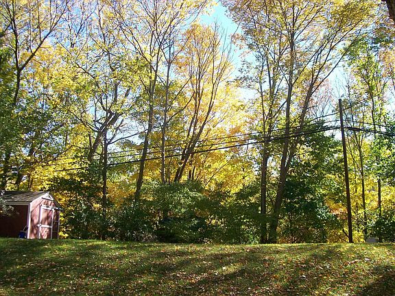 Forest Hills in the Fall, Beautiful