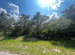 Mediterranean Ct LOT 7, Kissimmee, FL 34759