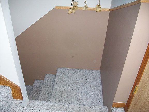 3rd image of 161 Fossil Cove Ln
