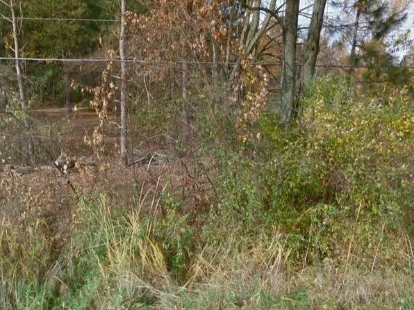 Vl S Gleaner Rd, Saginaw, MI 48609