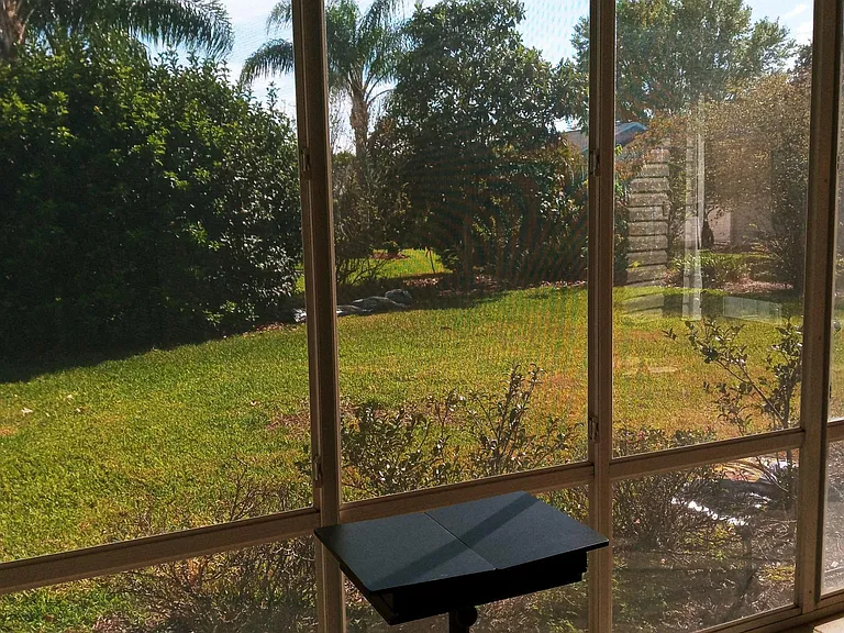View of backyard