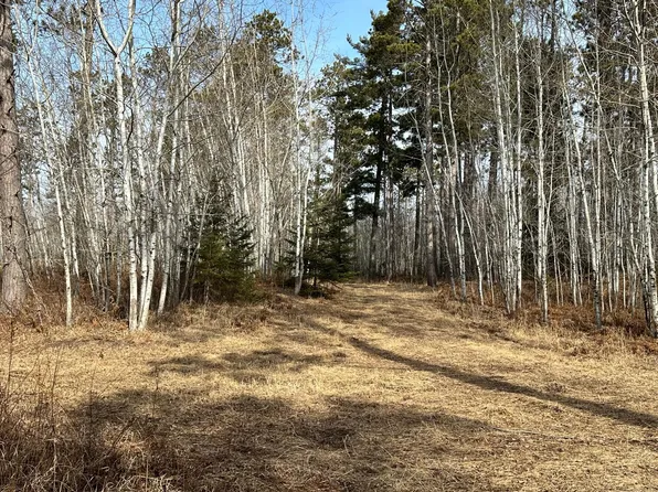 Nebish Rd NE, Tenstrike, MN 56683