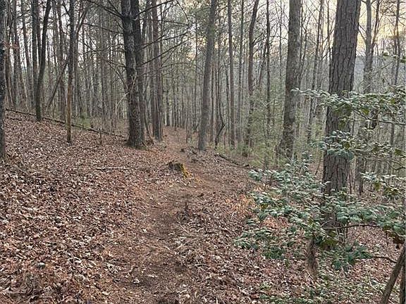 2nd image of 0 Shady Grove Church Rd #3