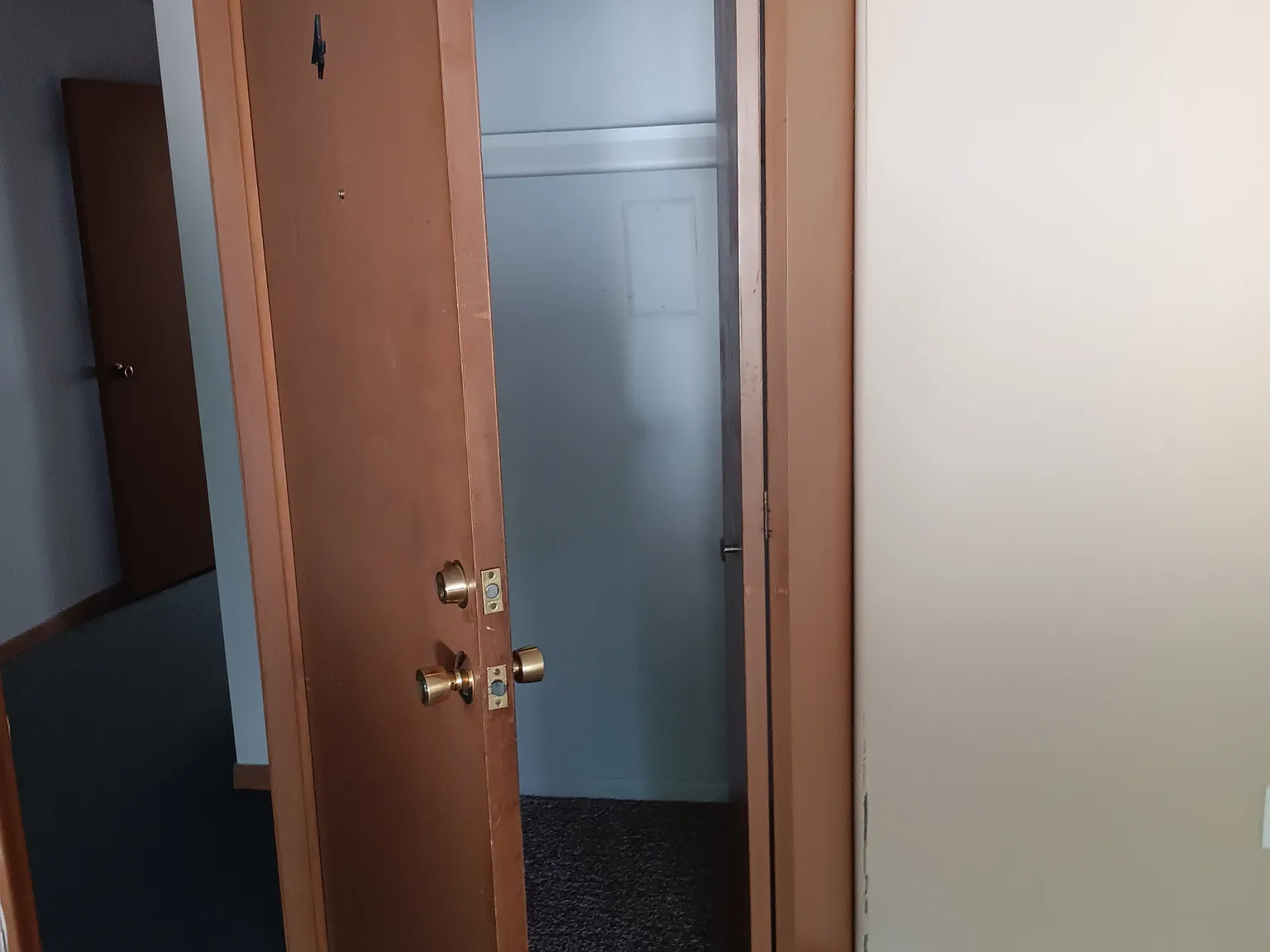 1 bed, 700 sqft, $1,025 — Photo 3