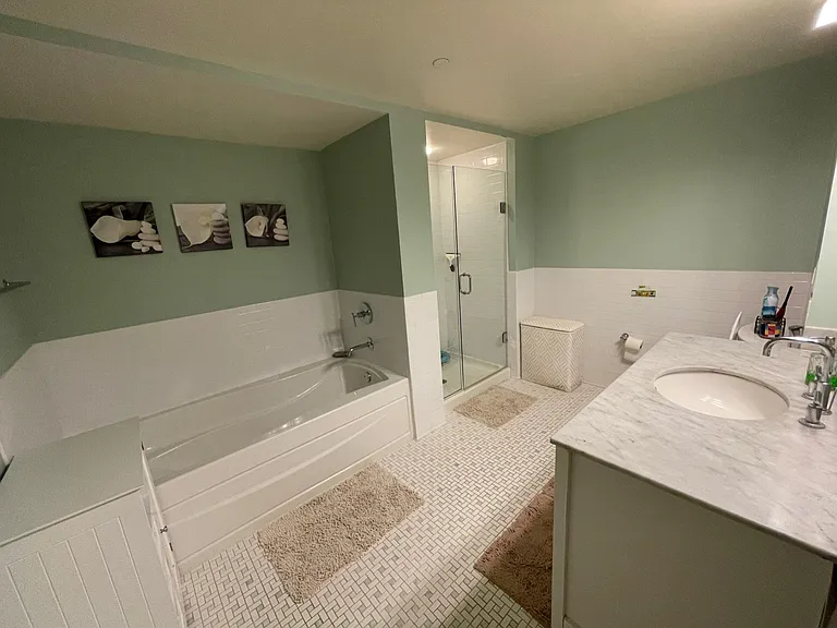 Master en-suite bath