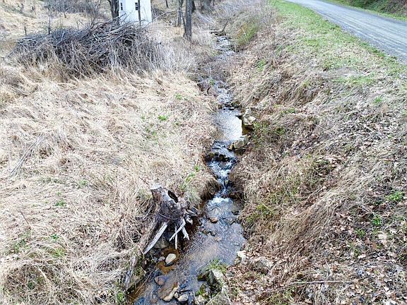 2nd image of 953 Hines Branch Rd