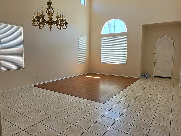 26232 Palm Tree Ln — Photo 3