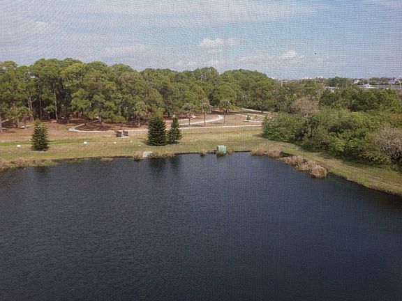 View of pond 