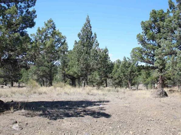 LOT 168 Sandy Ln, Weed, CA 96094