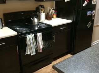 202 Sheliah Ct, Blacksburg, VA 24060