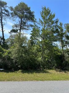 Tba Sw Court Rd #20, Ocala, FL, 34473