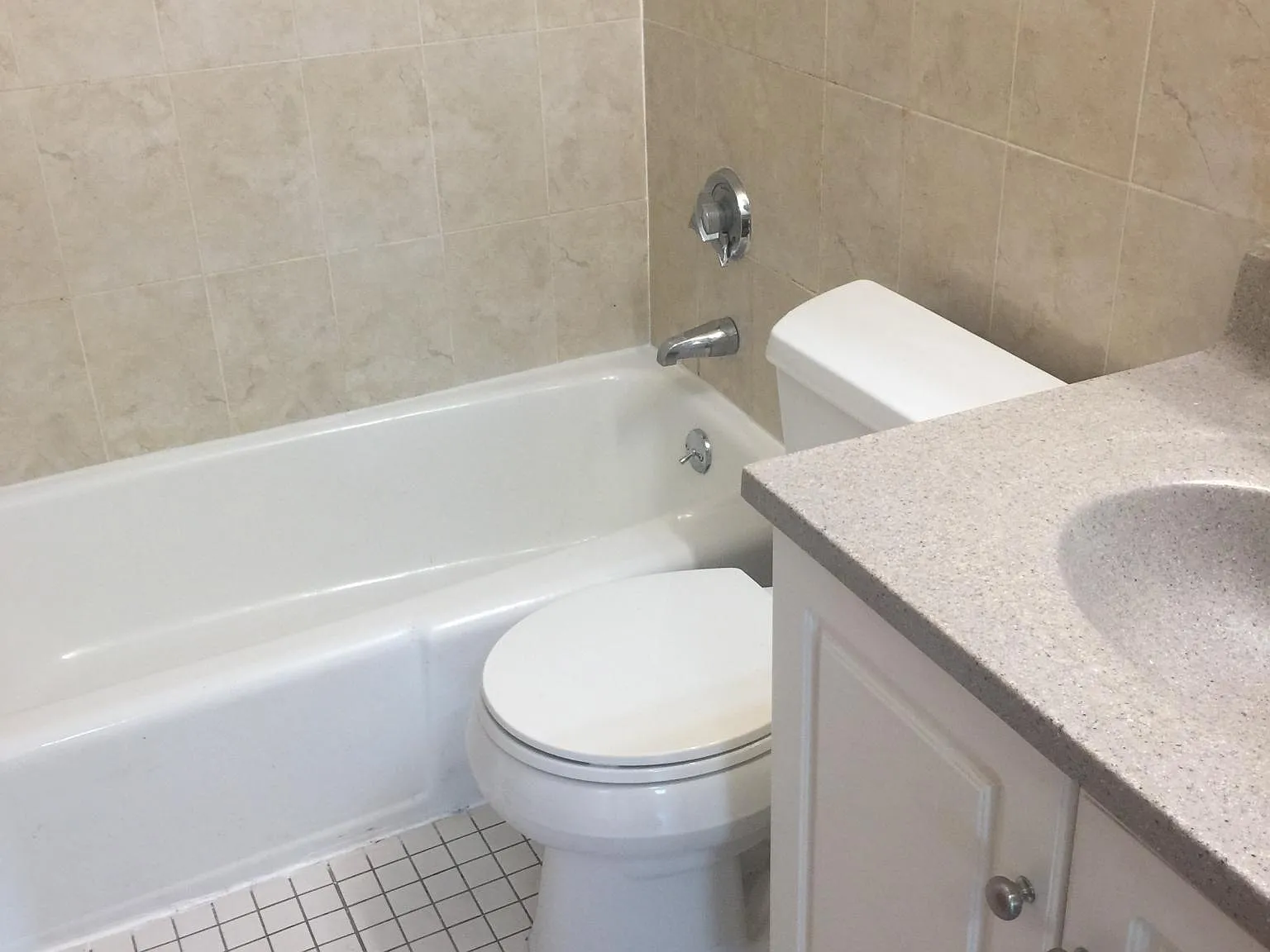 215 Mammoth Rd — Photo 4