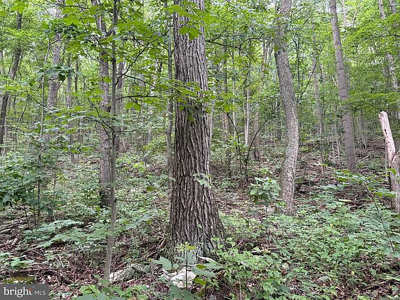 4th image of TRACT 2 3099/acres At 872 Fischer Rd