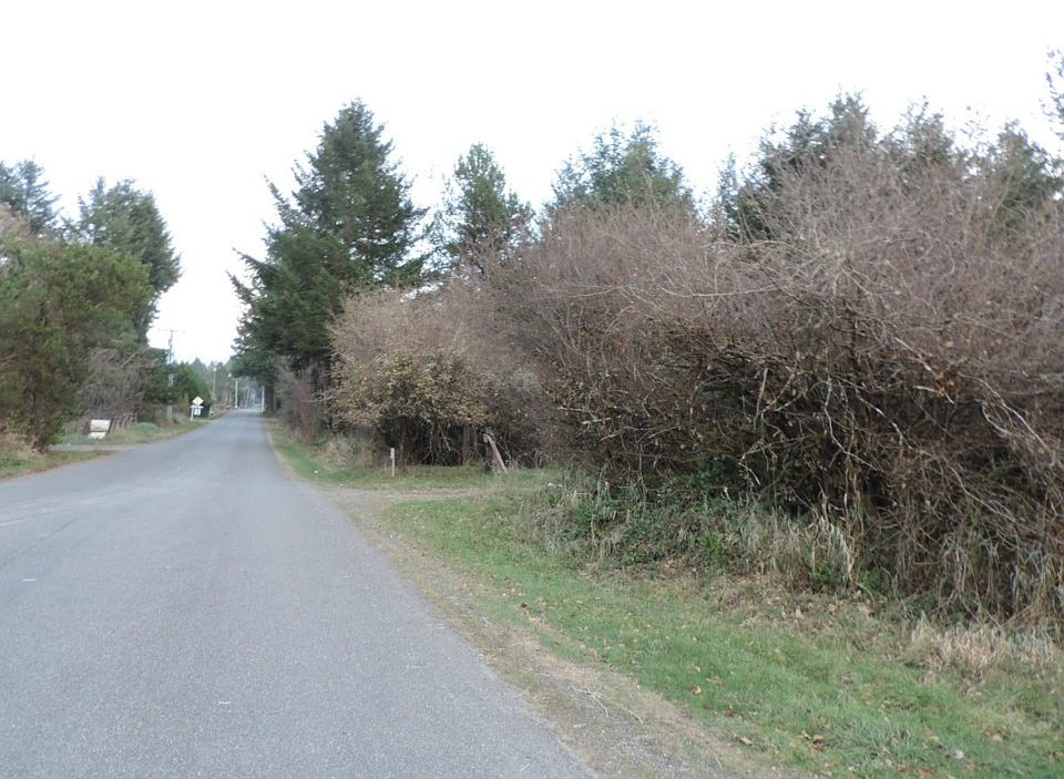 2nd image of 4445 88th Ave SW