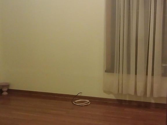 5th image of 3812 N Ashland Ave APT 2