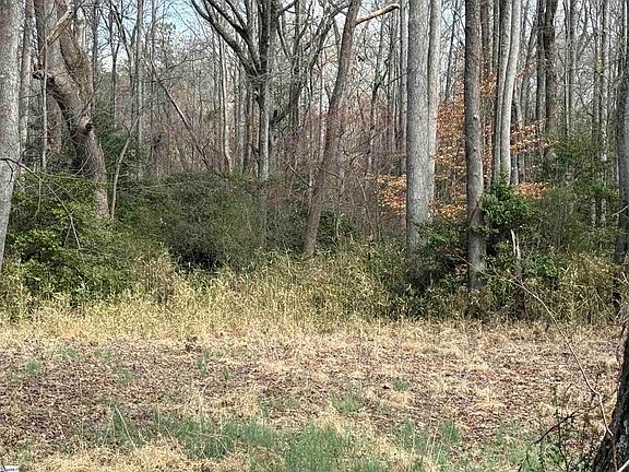 5th image of 0 McCall Rd