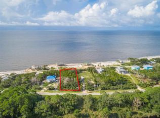 1358 Chip Morrison Dr, Panacea, FL 32346