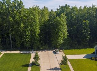 Split Rail Ln, Avon, OH 44011