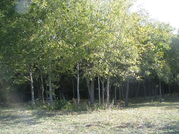 3rd image of 6688 Weston Rd