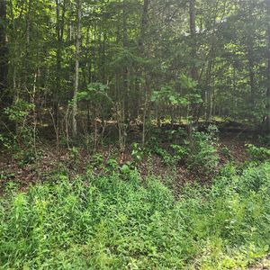 0 Poplar Creek Rd, Green Mountain, NC, 28740