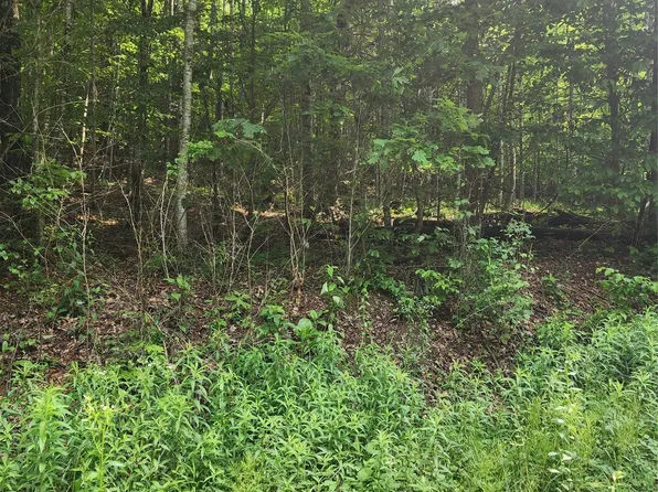 0 Poplar Creek Rd, Green Mountain, NC 28740