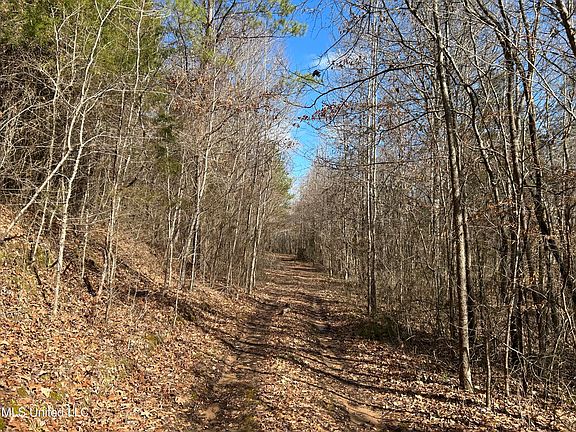 2nd image of County Road 82
