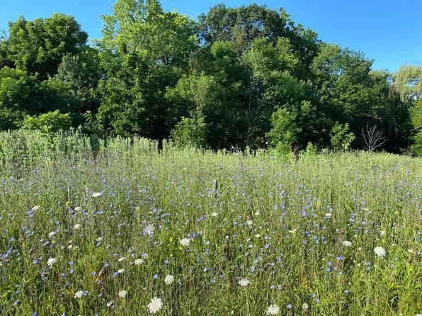 LOT 7 Buena Ter Lot 7, Antioch, IL 60002