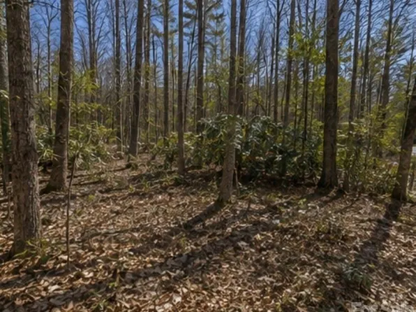 109 W Christy Trl, Sapphire, NC 28774