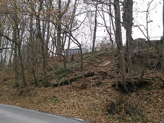 5th image of 570 Gorgas Ln