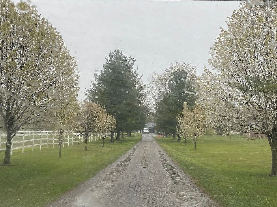 Long flowered treed driveway