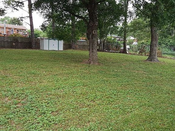 Back yard