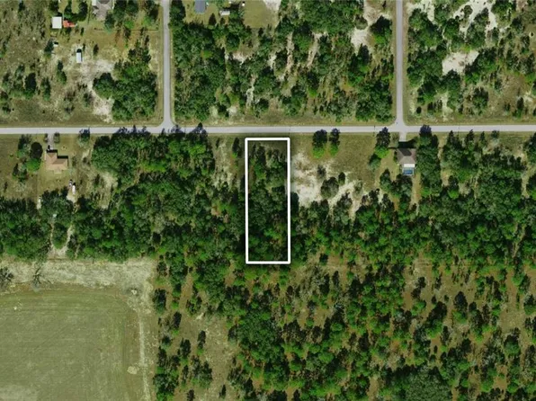 SW Tiger Lake Blvd Lot 20, Dunnellon, FL 34431