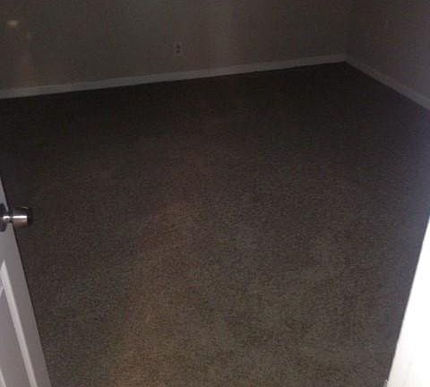 5th image of 4050 NE 1st Ave #4050228