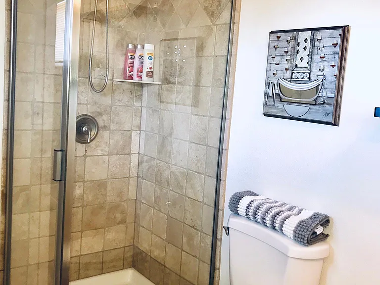Master Bathroom with stand up shower
